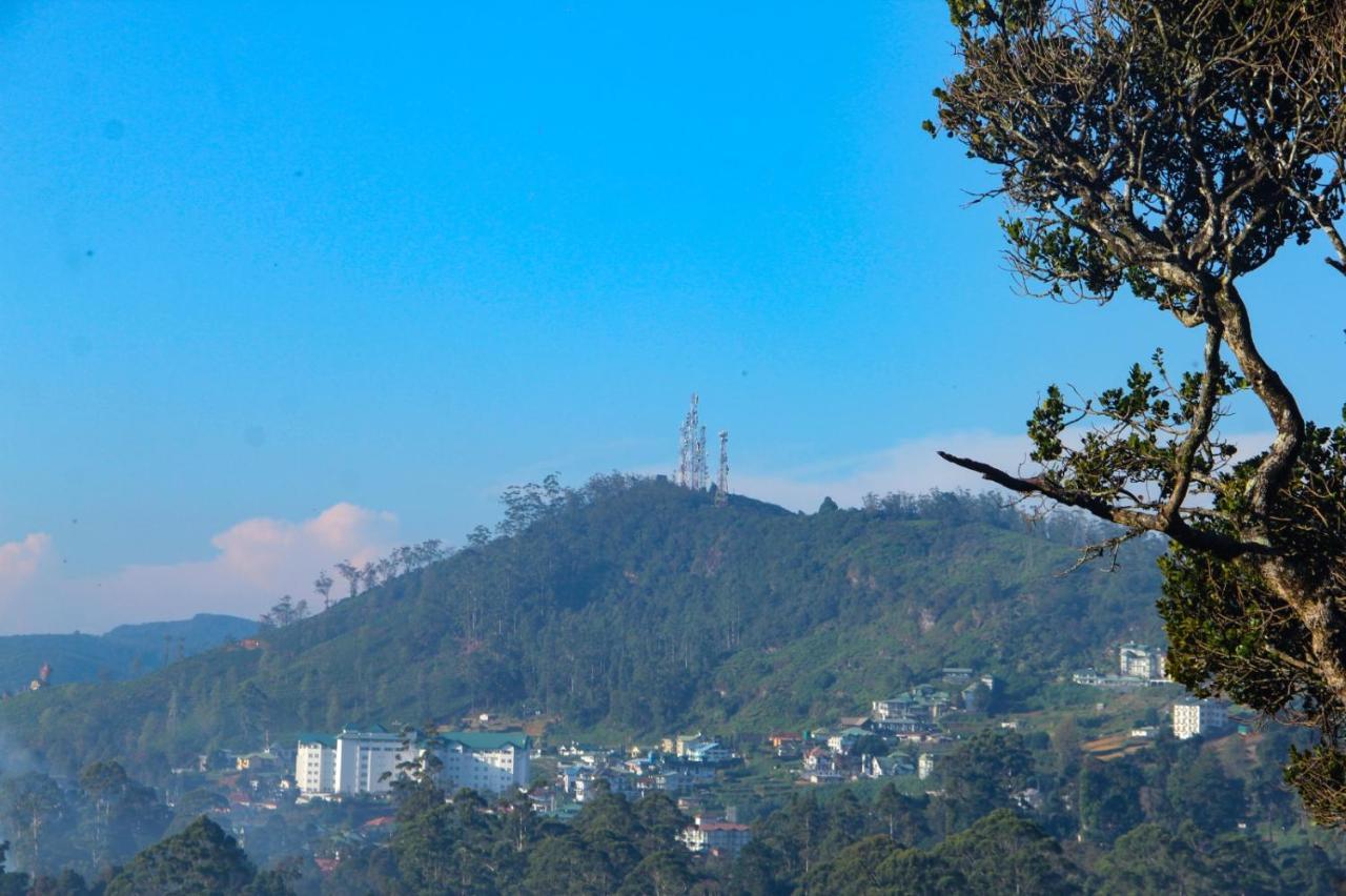 Sincere Wilderness Home Stay Nuwara Eliya Ngoại thất bức ảnh