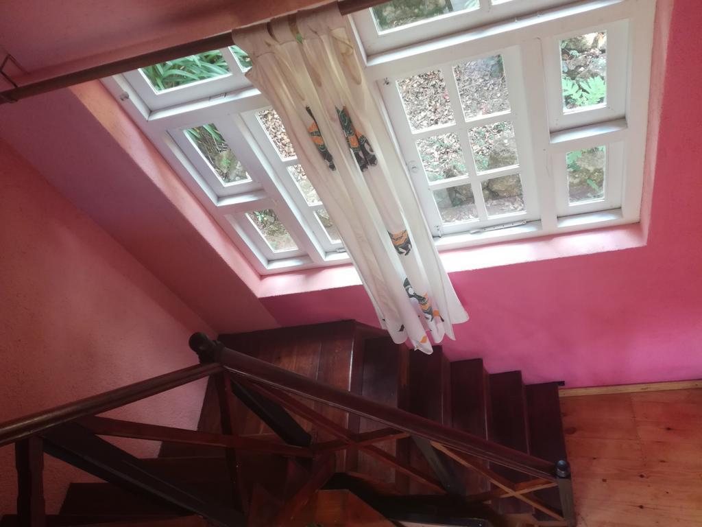 Sincere Wilderness Home Stay Nuwara Eliya Ngoại thất bức ảnh